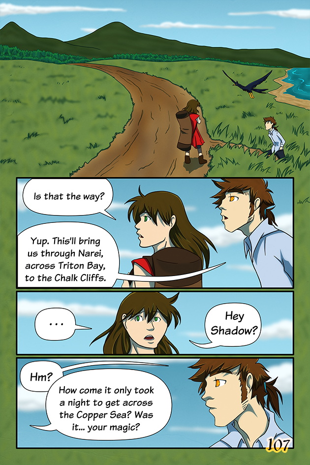 Page 107